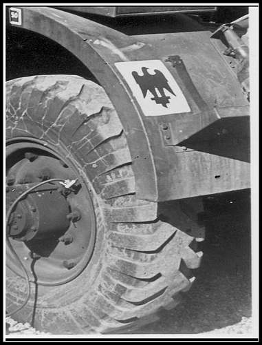 Unit vehicle insignia on British Staghound, Denmark 1945