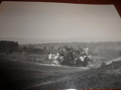 Photos of a WW2 Canadian Tank pushing a &quot;Snake&quot;