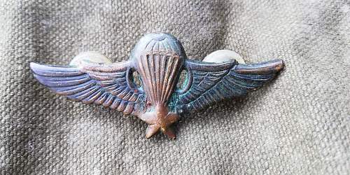 Arvn airborne wings