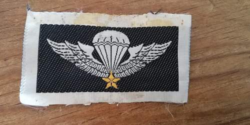 Arvn airborne wings