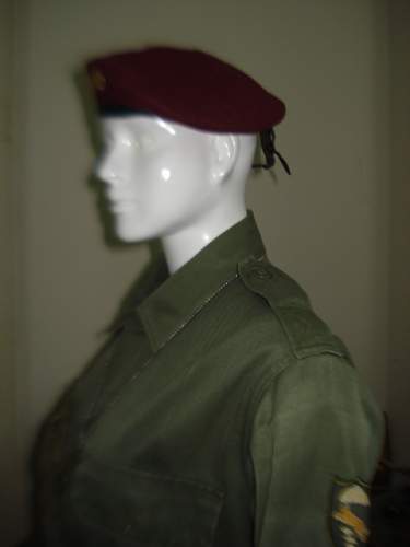 Vietnam War Militaria Collection 1954-1975