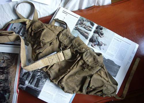 Vietnam War Militaria Collection 1954-1975