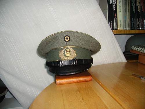 bringing back to life a Reichswehr Infantry cap