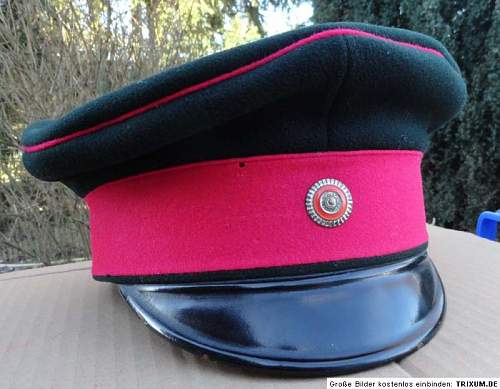 Police (Weimar &amp; Transitional) Visors