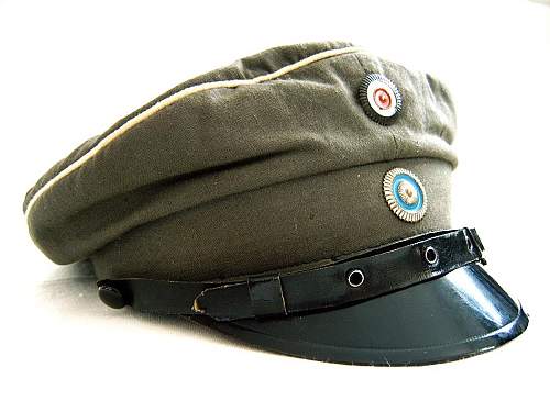 Freikorps &amp; Paramilitary Headgear (non-ShB)