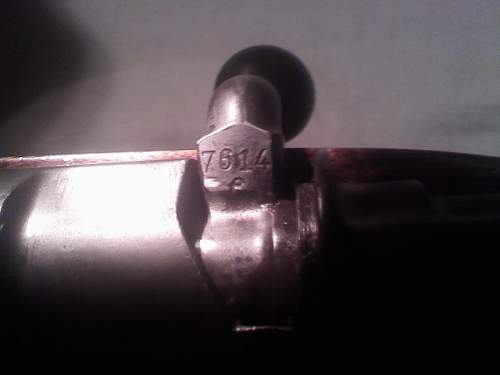 Why does the Mauser rear sight have #'s on the back?