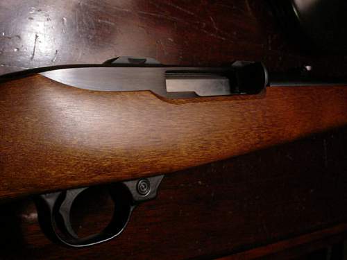 Scarce Ruger 10/22 magnum carbine,who knew?