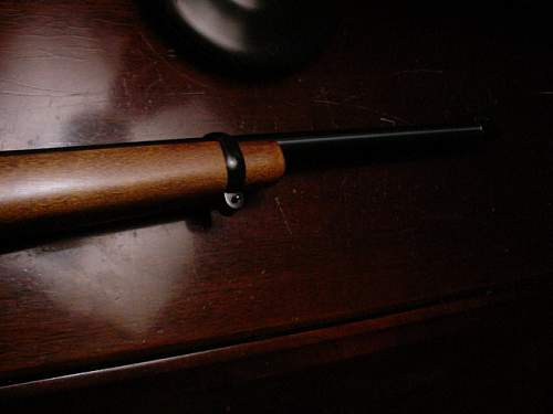 Scarce Ruger 10/22 magnum carbine,who knew?