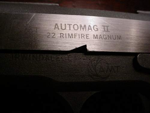 Scarce Ruger 10/22 magnum carbine,who knew?