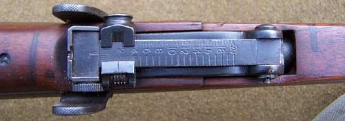 .22 Cal Enfield Training Rifle