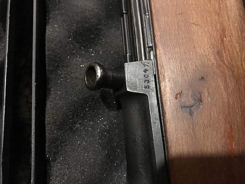 Gewehr 43, looking for some advice!!! PICS