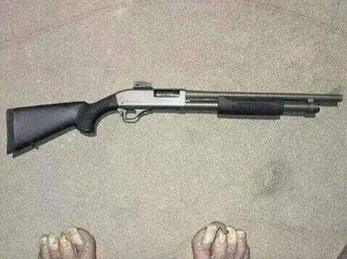 Got a new shotgun!