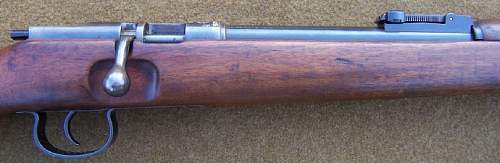 BSW Model 625C .22 Cal. for the SA