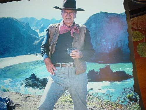 2 western revolvers and John Wayne
