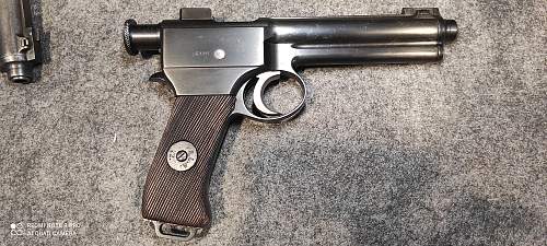 Austro-Hungarian Roth-Steyr Model 1907 8mm pistol