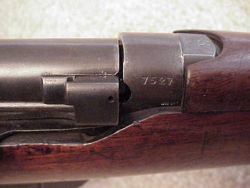 My Long Lee Enfield