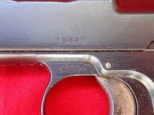 Steyr M1912 Pistol Example