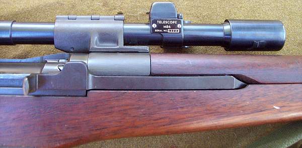 M1 Garand all dressed up...