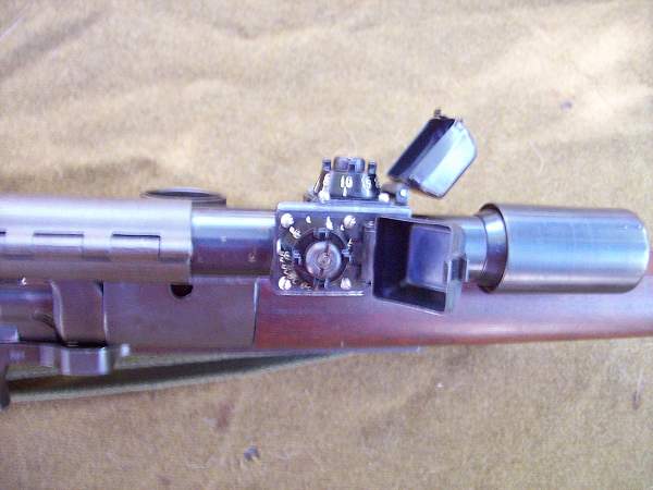 M1 Garand all dressed up...