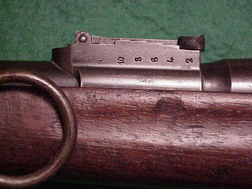 A French Lebel rifle and a Berthier Carbine recent gun show finds