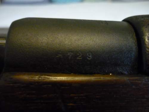 On Mauser M1904