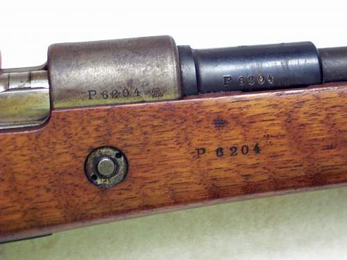 1909 Mauser Question