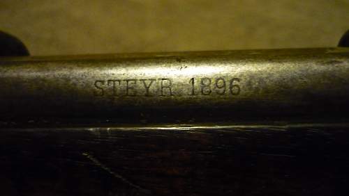 Steyr 1896