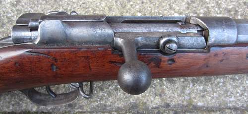 My German 1871/84 Mauser