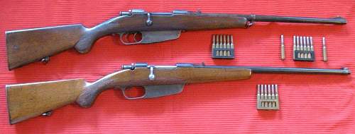 Two Carcano Rifles