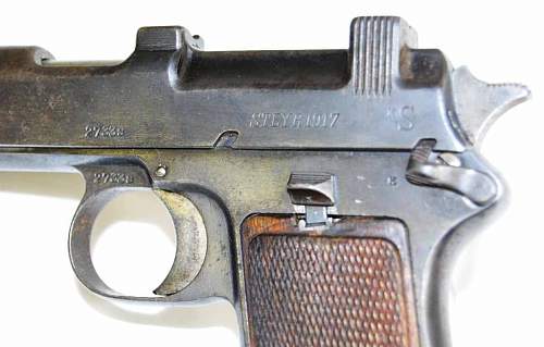 Austrian Steyr 1917, thoughts?