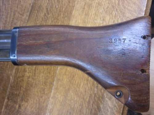 pics of fg 42