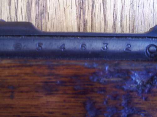 Arisaka Rifle