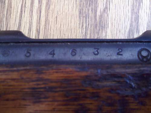 Arisaka Rifle