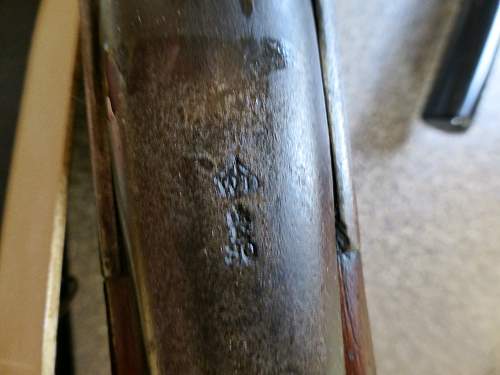 Latest item in collection French Gras Rifle