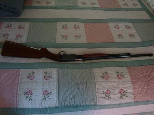 Browning 22 Pump Rifle