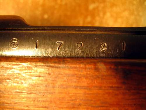 Seeking Information on a WWII Japanese Rifle