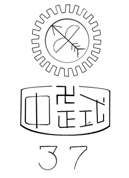 Chinese rifle t24