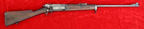 Type 53 chinese rifle?
