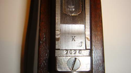 K98, Identification
