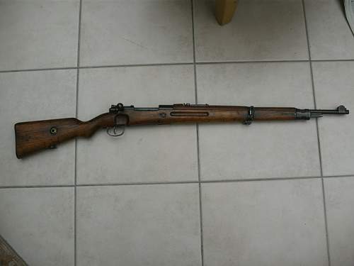 Polish wz29 rifle ???