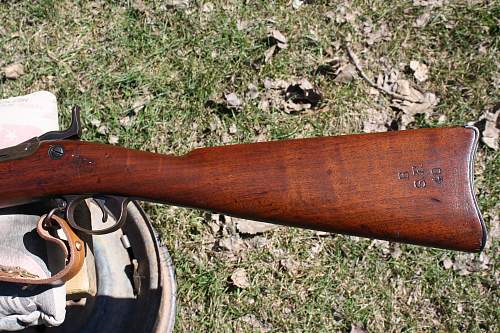 Model 1884 Trapdoor