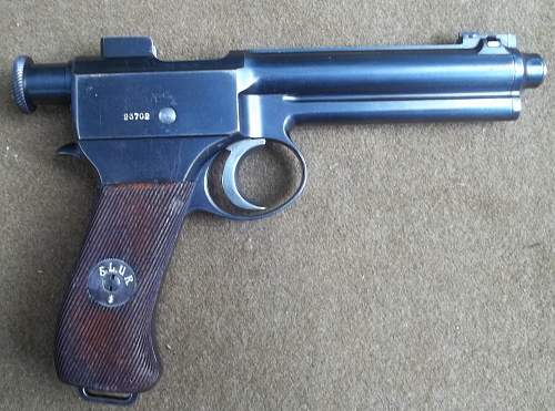 Roth-Steyr Pistol 8mm