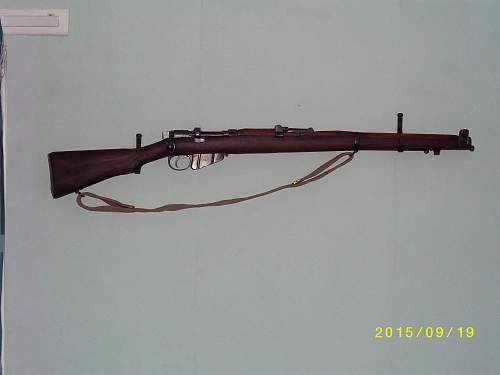 1st Deactivated Weapons: Lee Enfield &amp; Czech VZ24