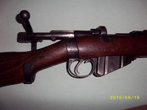1st Deactivated Weapons: Lee Enfield &amp; Czech VZ24