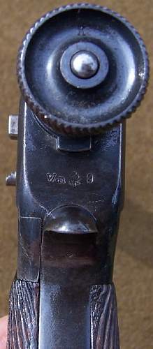 Roth Steyr Model 1907 Pistol