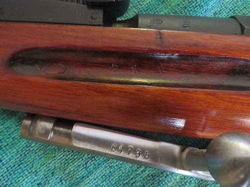 Mosin Identification.