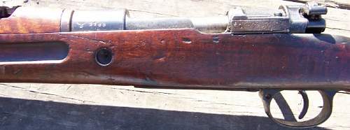 STEYR 'Luftwaffe' Carbine