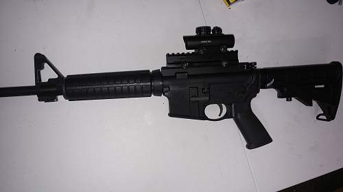 Sig m400 in 556