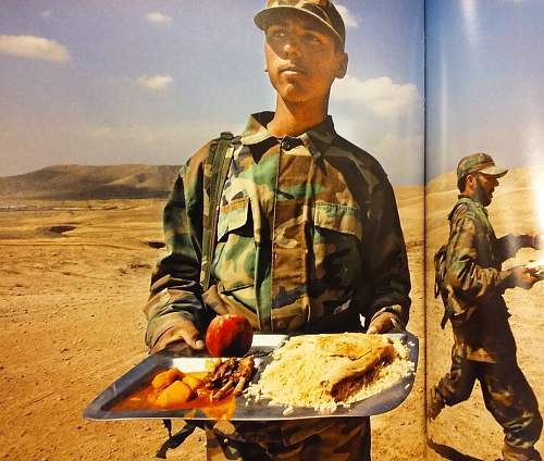 helmets in use by new Afghan army, do you recognize this helmet?