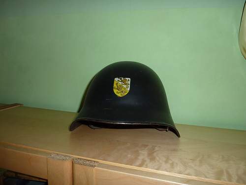 swiss helmet with WM decal